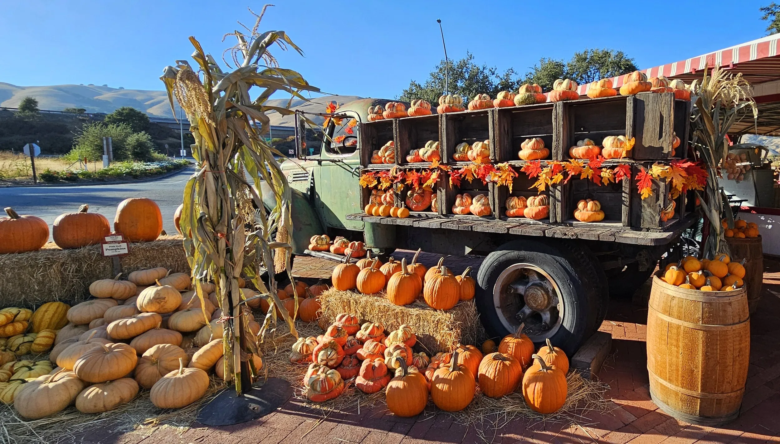 Hollister, California