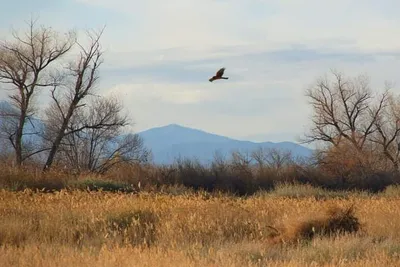 Wetlands Park, Las Vegas, NV