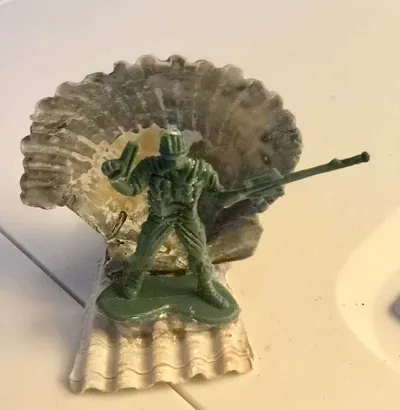 Found in The Gulf of Mexico