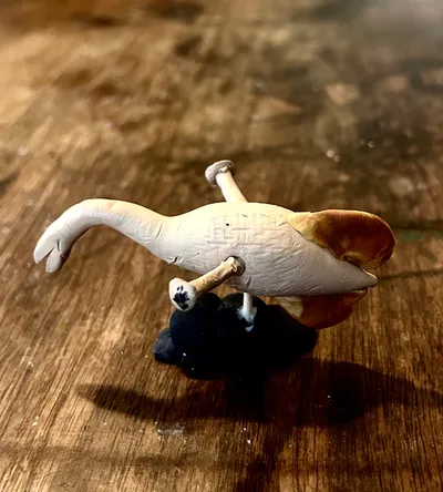 Animal #6 Tully monster. State Fossil of Illinois