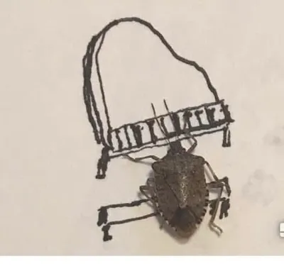 Stink Bug Jazz Band #2