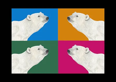 Pop Goes the Polar Bear