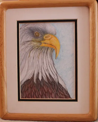 The Bald Eagle
