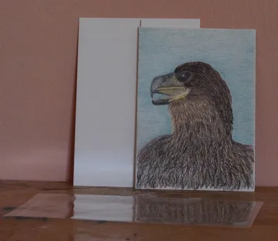 Golden Eagles Side View