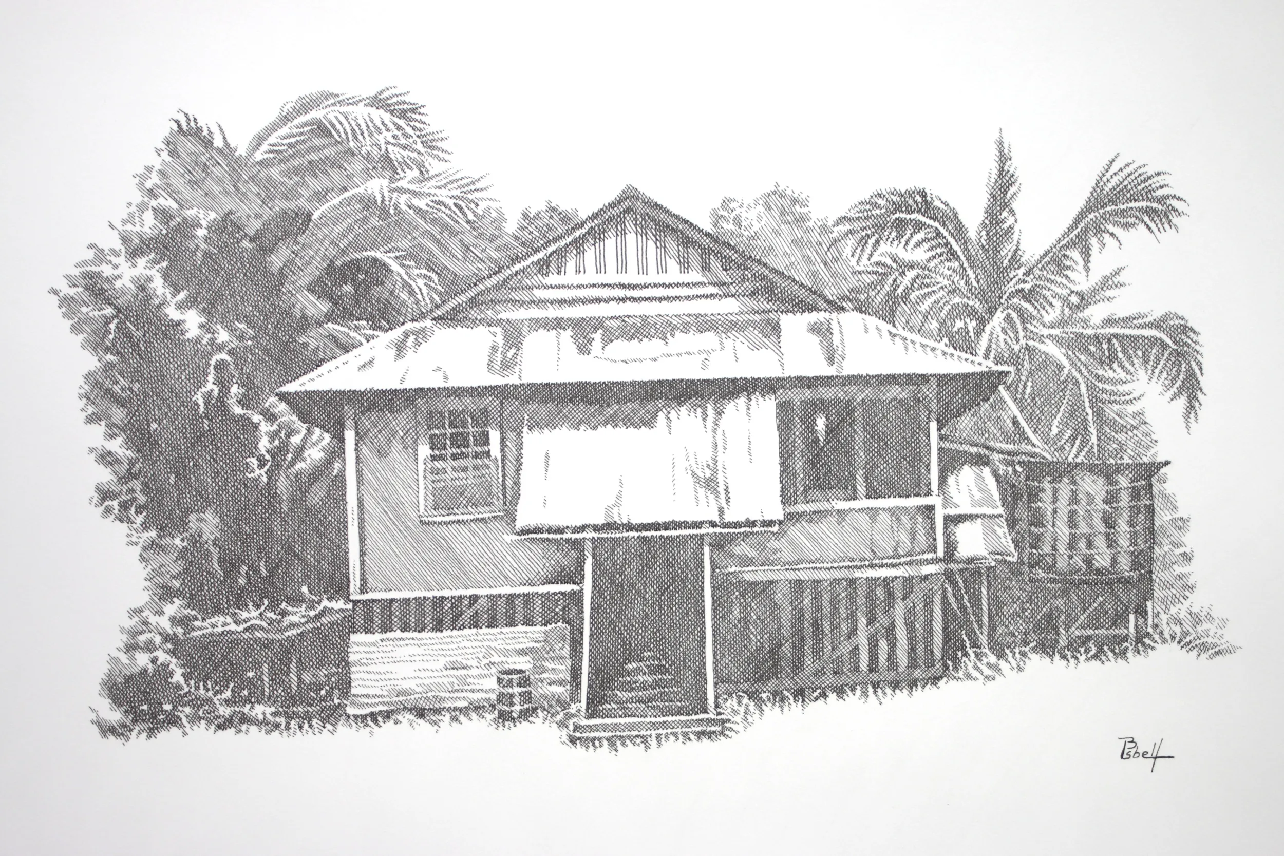 Off the Grid in Paradise