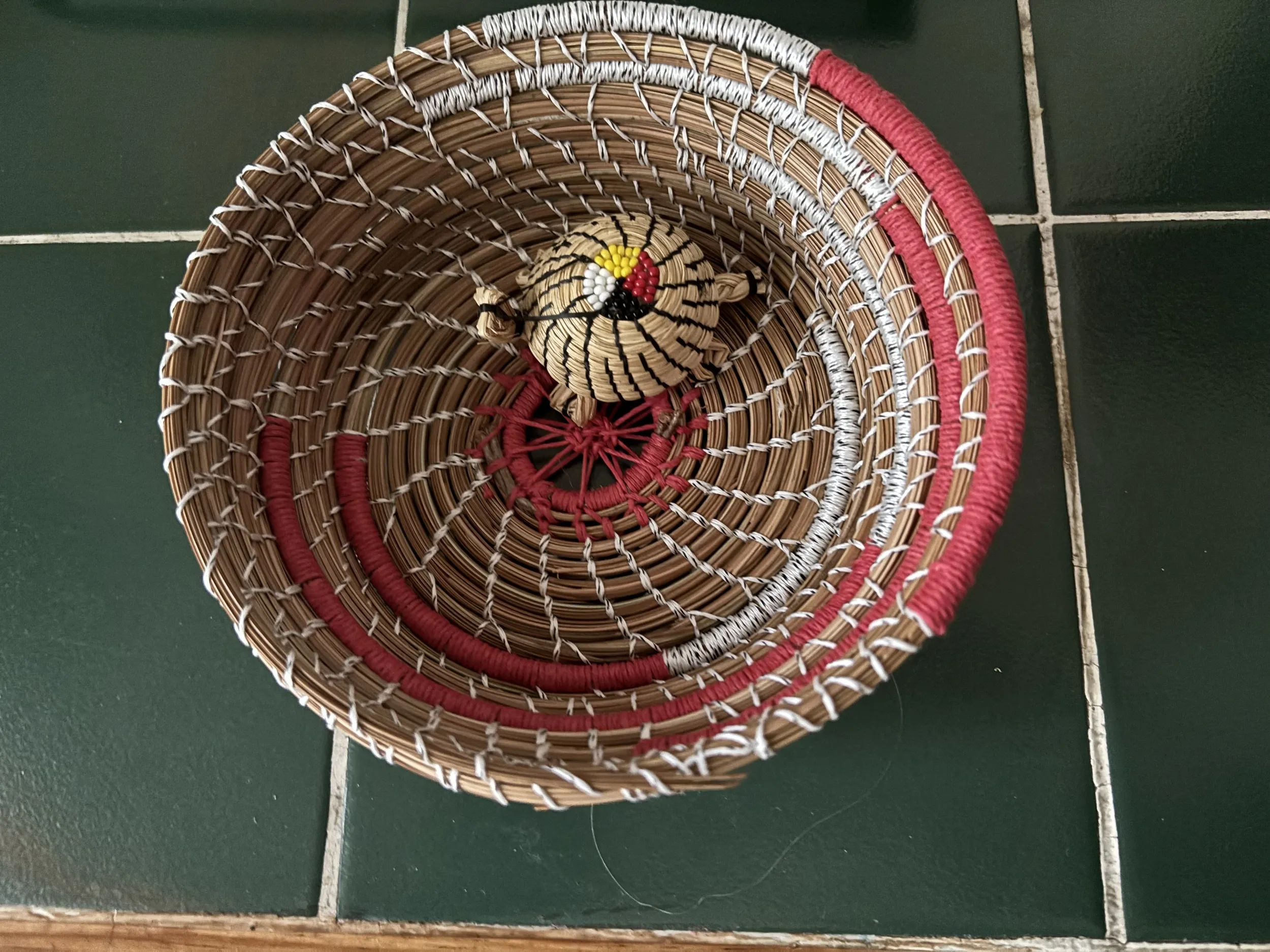 “gift” turtle (Donated)