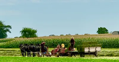 Amish Work Day