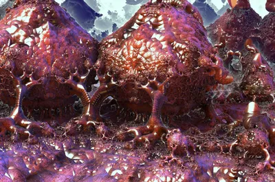 The Guts of COVID-19