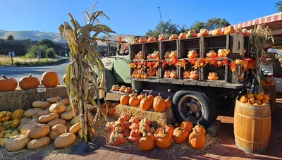 Hollister, California