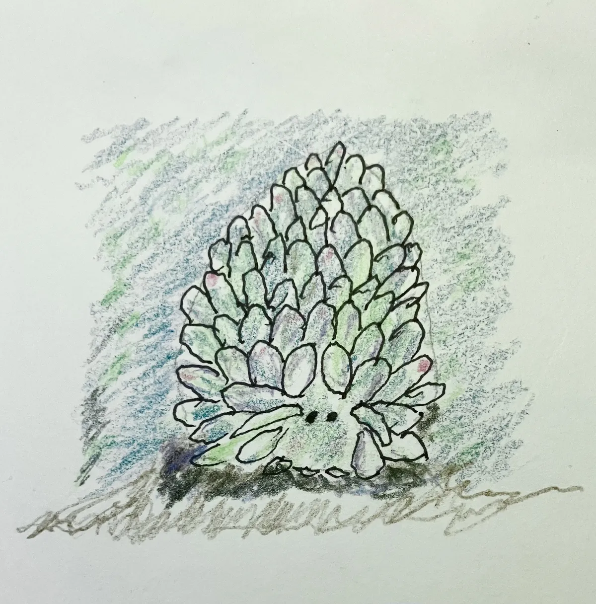 Animal #9 Leaf sheep sea slug