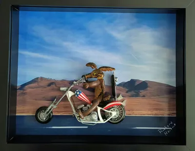 Easy Rider - Wilie E. Coyote