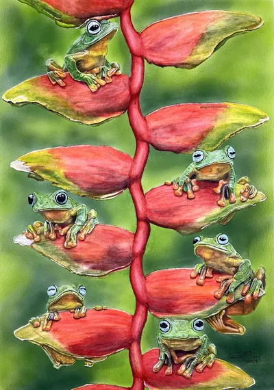 Tree Frogs