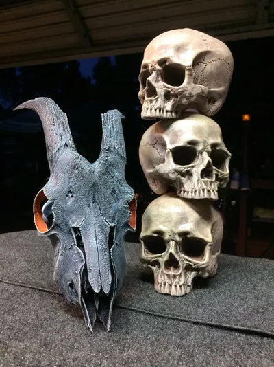 Painted Skulls