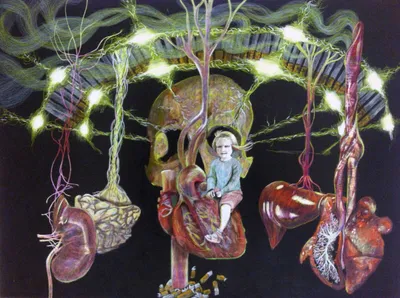 Carousel of Mortality