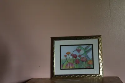 Humming Bird Feeding