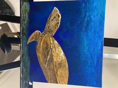 Sea Turtle_from photo