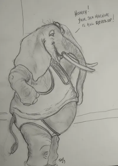 Sexy Elephant