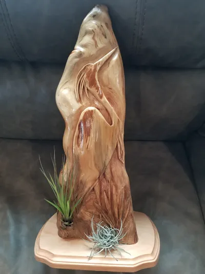 "Great blue heron at dawn" in cypress knee