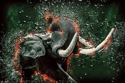 Elephant Art