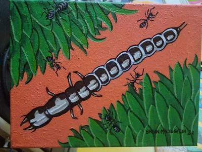 Big head beetle larva with ants