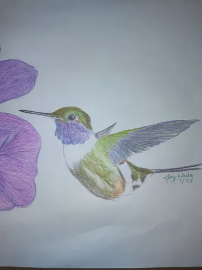 Hummingbird