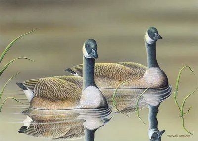 Peaceful Waters - Acrylic Painting