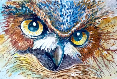 Night Watcher: Great Horned Owl