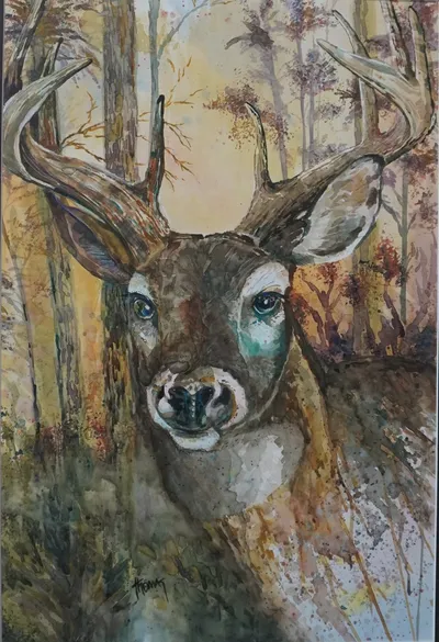 Early Morning Buck: The Alabama Whitetail Deer