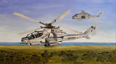 Marine Corps Choppers
