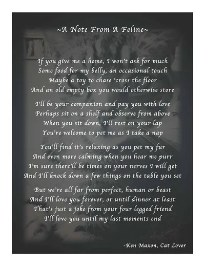 A Note From a Feline