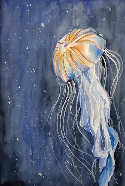 Jellyfish
