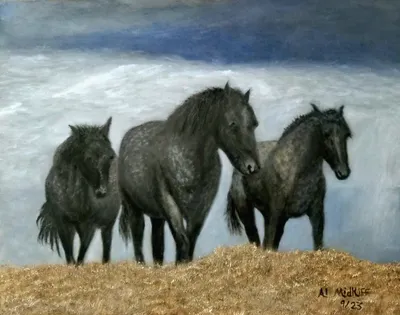 Wild Horses