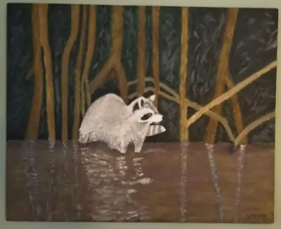 St Lucie River Raccoon