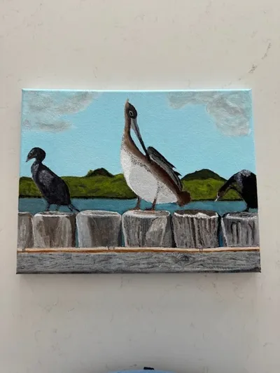 Patrick Space Force Pelican