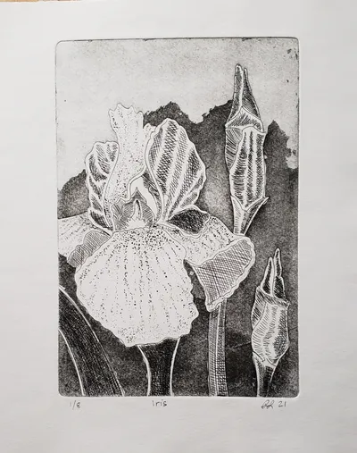 Iris etching