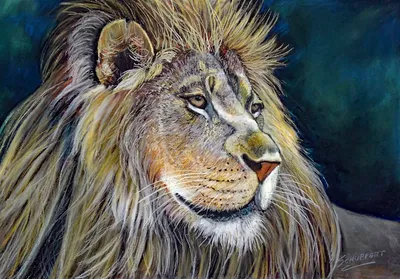 Lion, pastel