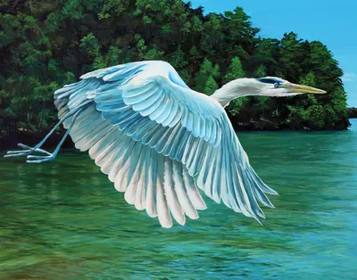 Artist Residency, Dreher Island State Park, SC