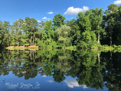 Imperfect Reflections