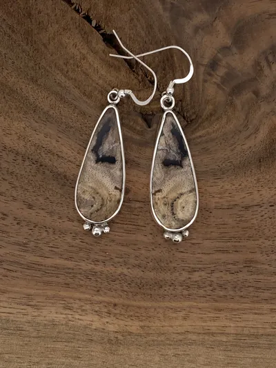 Fossilized  Bamboo and Sterling Silver Earrings