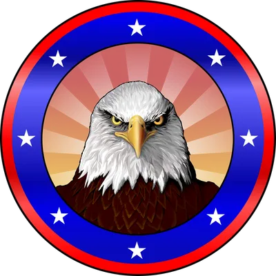 The American Bald Eagle